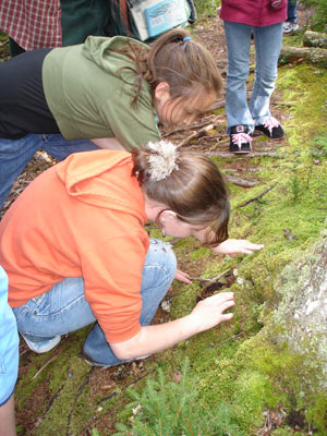 Students examine moss and lichen at Barred Island.