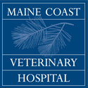 Maine Coast Veterinary Hospital