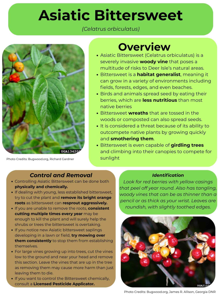 This is a fact sheet describing how to identify and remove invasive Asiatic Bittersweet. 