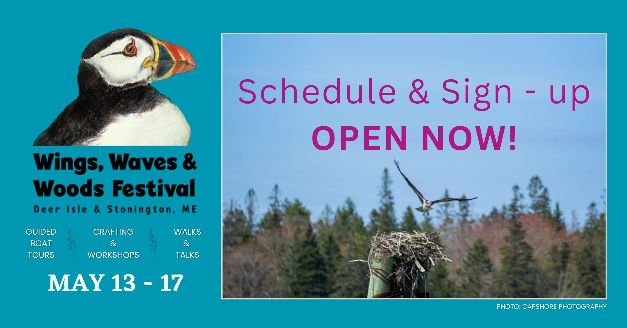 Project Monarch_Cover Photo (1)